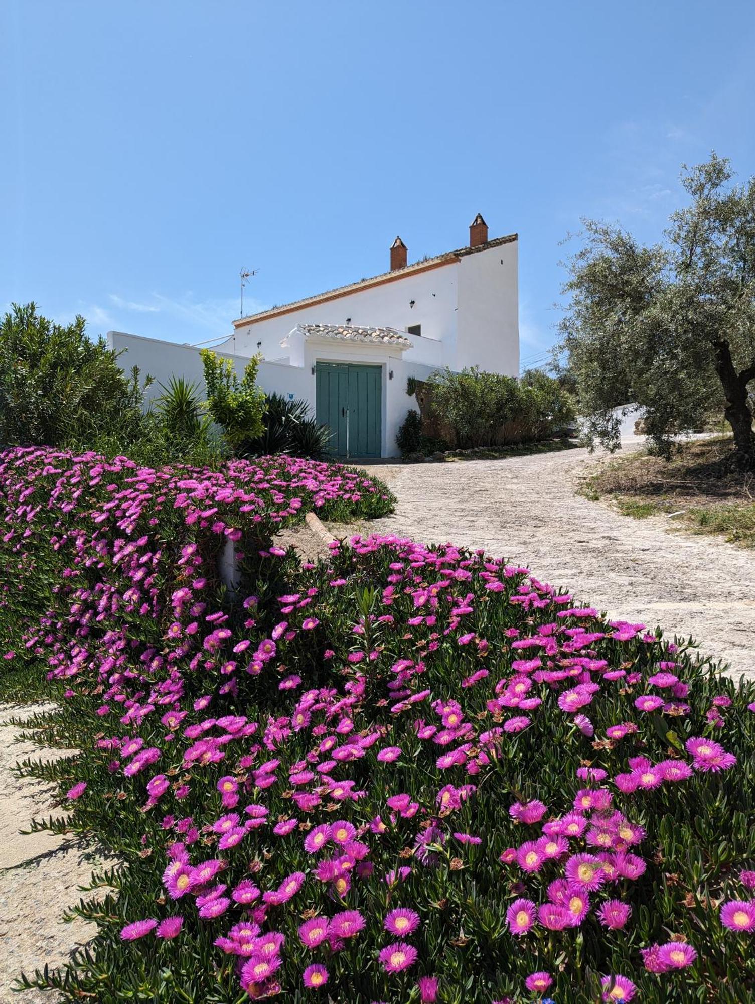 Casa Las Majadillas อิซนาฮาร์ ภายนอก รูปภาพ
